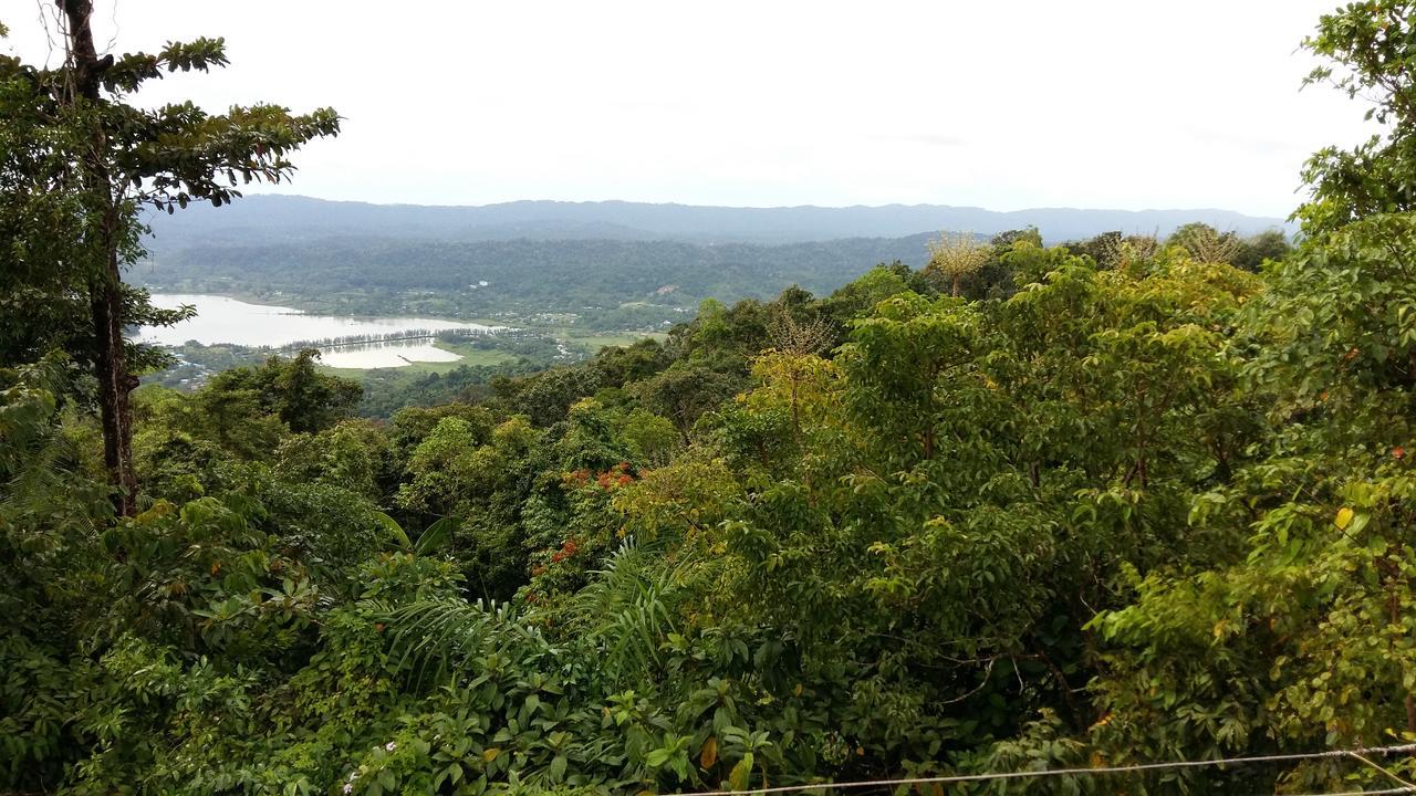 Dutta'S Residency Bed & Breakfast Port Blair Dış mekan fotoğraf